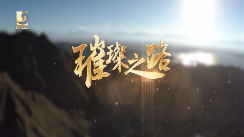 天游ty8