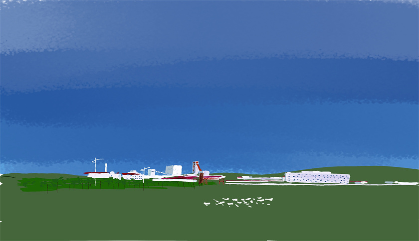 天游ty8_青春白音呼布